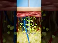 Download Lagu How A Jellyfish Actually Stings you 😱