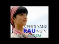 Download Lagu Nikita - S'perti Yang KAU Ingini Full Album