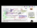 Computer Class 8 Ch6 Decision Control Structure IF IF ELSE IF ELSE IF Statement Part - 1