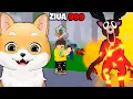 Download Lagu Cheltui $9,534,212 pe Clasa PYRO in 99 de NOPTI...