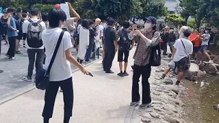                                                                                                      دندنها