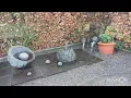 Visit to Delta Sensory Garden Carlow Kilkenny
