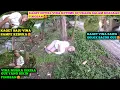 Download Lagu KAGET DETIK2 VINA KETEMU DALAM KONDISI MATI DIJURANG DEKET RUMAH NYA‼️