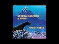 Steven Halpern Afrodesia - Chango