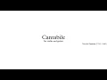 Cantabile, Op. 17, MS 109 - Niccoló Paganini || Violin and Guitar Ver. (Score Video)