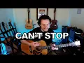 Lagu Can't Stop | Red Hot Chili Peppers (acoustic cover)