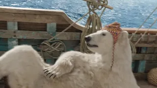 dr dolittle bird vs bears in hindi
