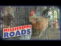 Buy Sell or Trade Mississippi s Largest Flea Market - Mississippi Roads