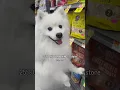 Pet Supplies Plus - 25 Off now thru August 11