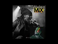 BEST OF TURBULENCE (APR 2025)  MIX DJ IDOL FEAT TURBULENCE AKA   THE BIG LION