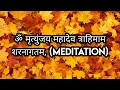 Download Lagu ॐ मृत्युंजय महादेव त्राहिमाम शरनागतम, (Meditation) | Pt. Vivek Gautam