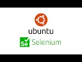 How to install or update chromedriver in Linux or Ubuntu