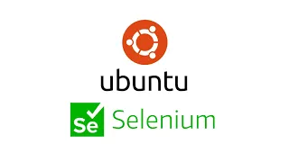 How to install or update chromedriver in Linux or Ubuntu