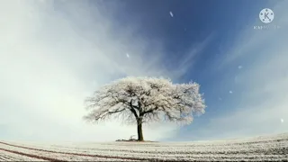 instrumen musik relaksasi hipnoterapi pengantar tidur dan penghilang stres terapi penyembuhan