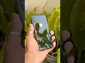 Download Lagu iPhone X #iphonex #smartphone #explore #tech #pubg