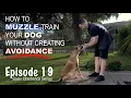 How to Muzzle Train Your Dog Without Creating Avoidance Episode 19