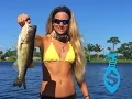 1000 00 Darcizzle Holiday Bass Spectacular