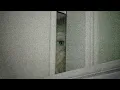 2 Hours of Horrifying Reddit Stories