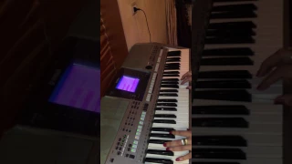 اسف حبيبتى راغب علامه عزف Bosy Elhossiny 