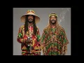Snoop Dogg \u0026 Wiz Khalifa - Young, Wild and Free (Soul Reggae AI Cover)