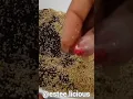 Download Lagu 🤔How To Harvest Amaranth Seeds #shorts #youtubeshorts