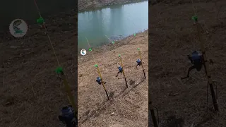 اجمل لحظة للصيادين سماع صوت الجرس هذا 