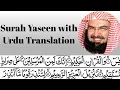 Download Lagu Surah Yaseen full by Sheikh Sudais | With Urdu translation