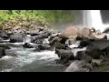 The Properties of Water