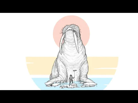 Animal Hyperrealism Vol II