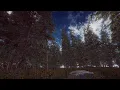 TheForest Procedurally Generated Unity Project
