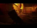 STRAY - Curious cat trap