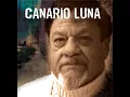 canario luna   al mundo le falta un tornillo