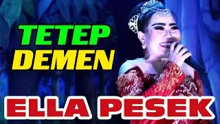 Download TETEP DEMEN || ELLA PESEK || TEMBANG SANDIWARA DWI WARNA LIVE 2019 MP3