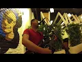 Loving You - Ric Segreto (Cover) #bugsymusikero