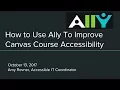 WEBINAR How to Use Ally to Improve Canvas Course Accessibility default 54e3815e