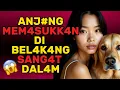 Download Lagu Suami Gagal Tapi Kucing Barisik Sukses Atasi Masalahnya