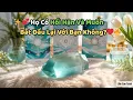 Lagu 💞 Họ Có Hối Hận Và Muốn Bắt Đầu Lại Với Bạn Không?