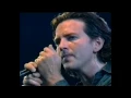 Download Lagu Can't Help Falling In Love - Pearl Jam (Elvis Presley Cover)