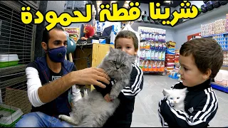 Buying A Cat فلوق شراء قطة لابني حمودة اجمل قطة بالعالم 