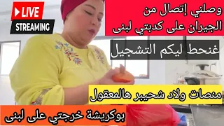 جريو جريو هالمعقول غيتحط دبا 