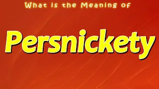 What is the Meaning of Persnickety