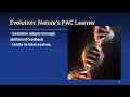 Ecorithms Nature s Learning Algorithms