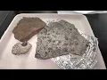 Virtual Fossil Lab