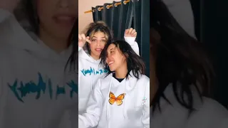 شخلعه دي مدلعه 