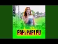 Download Lagu Papi Papi Pu