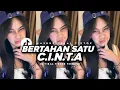 Lagu DJ BERTAHAN SATU CINTA | D'BAGINDAS TREND VIRAL TIKTOK TERBARU 2025 !! 