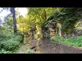 Virtual hike White pines Forrest state park sleepy hollow trail Illinois