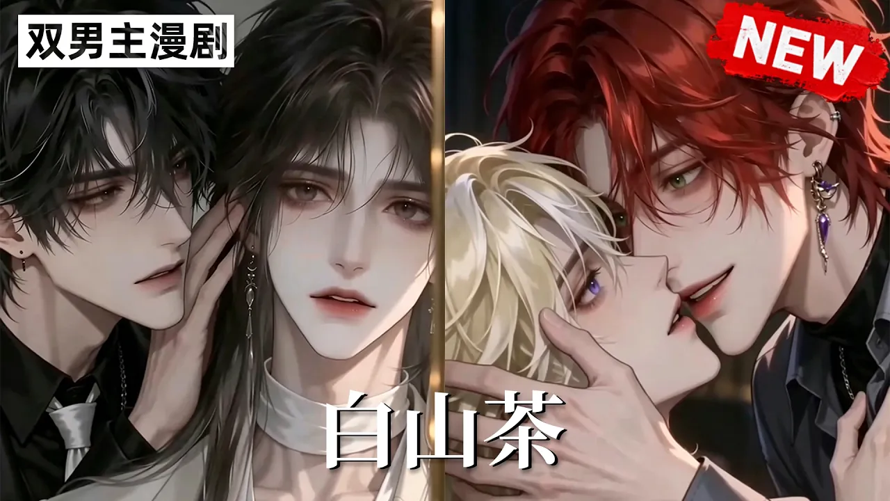 白山茶