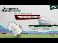 Lagu Veracruz Agropecuario - Producción de Pavos