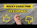 My Review of Rocky Coast Pine Vinyl Plank Flooring by LL Flooring Lumber Liquidators